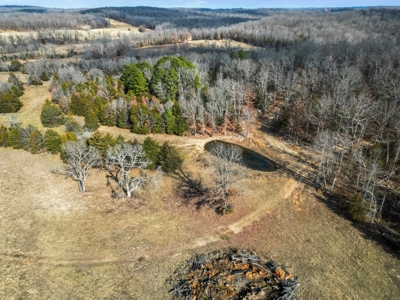 South Central Missouri Ozarks Cattle Farm and Home - image 30