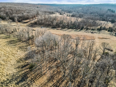 South Central Missouri Ozarks Cattle Farm and Home - image 38