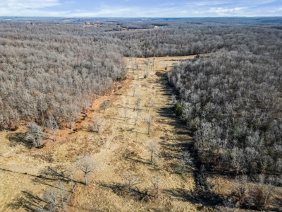 South Central Missouri Ozarks Cattle Farm and Home - image 43