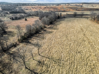 South Central Missouri Ozarks Cattle Farm and Home - image 36