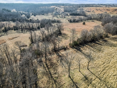 South Central Missouri Ozarks Cattle Farm and Home - image 37