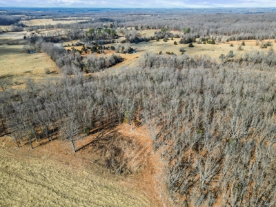 South Central Missouri Ozarks Cattle Farm and Home - image 40