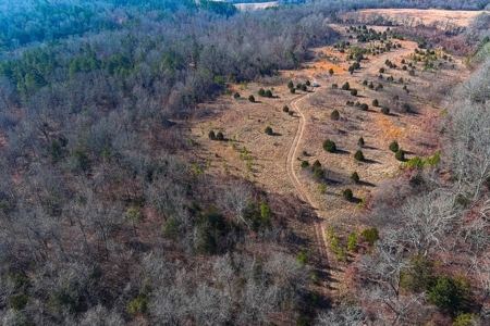 Hunting Land for Sale, Douglas County / Ozarks, MO Land - image 21