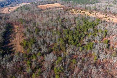 Hunting Land for Sale, Douglas County / Ozarks, MO Land - image 12