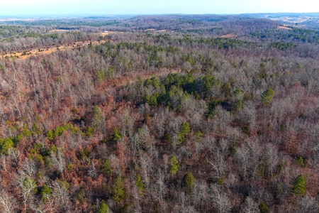 Hunting Land for Sale, Douglas County / Ozarks, MO Land - image 8