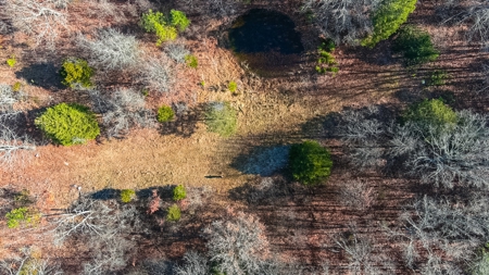 Hunting Land for Sale, Douglas County / Ozarks, MO Land - image 7