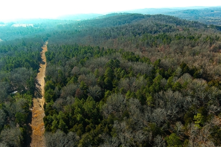 Hunting Land for Sale, Douglas County / Ozarks, MO Land - image 22