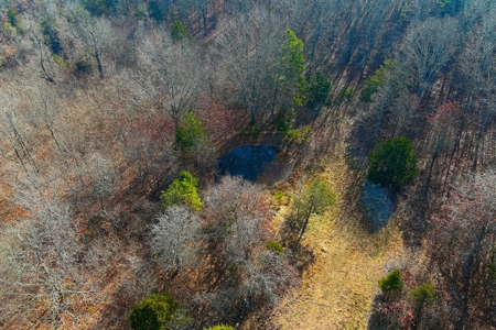 Hunting Land for Sale, Douglas County / Ozarks, MO Land - image 4