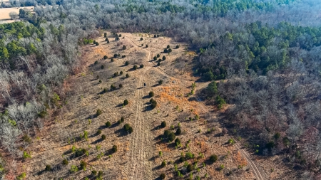 Hunting Land for Sale, Douglas County / Ozarks, MO Land - image 15