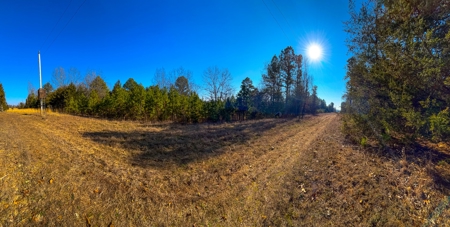 Hunting Land for Sale, Douglas County / Ozarks, MO Land - image 46