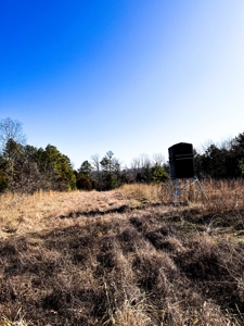 Hunting Land for Sale, Douglas County / Ozarks, MO Land - image 41