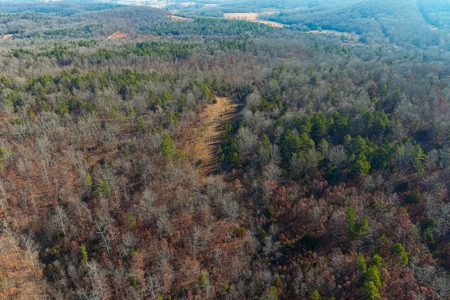 Hunting Land for Sale, Douglas County / Ozarks, MO Land - image 9