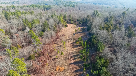 Hunting Land for Sale, Douglas County / Ozarks, MO Land - image 10