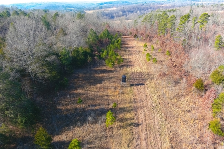 Hunting Land for Sale, Douglas County / Ozarks, MO Land - image 20