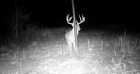 Hunting Land for Sale, Douglas County / Ozarks, MO Land - image 28