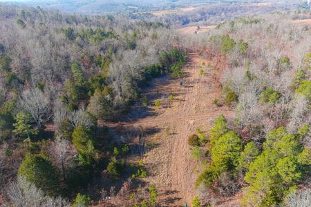 Hunting Land for Sale, Douglas County / Ozarks, MO Land - image 11