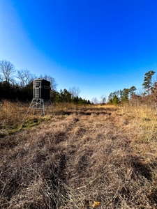 Hunting Land for Sale, Douglas County / Ozarks, MO Land - image 40