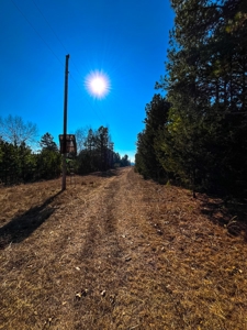 Hunting Land for Sale, Douglas County / Ozarks, MO Land - image 44