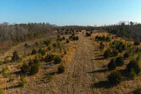 Hunting Land for Sale, Douglas County / Ozarks, MO Land - image 24