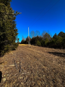 Hunting Land for Sale, Douglas County / Ozarks, MO Land - image 45