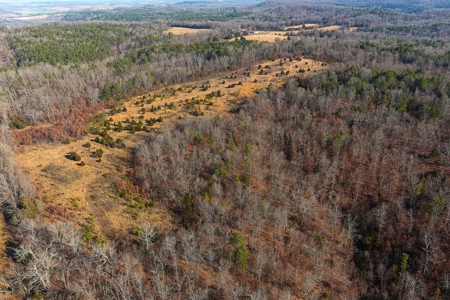 Hunting Land for Sale, Douglas County / Ozarks, MO Land - image 14