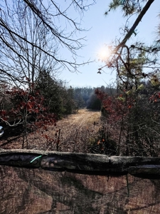 Hunting Land for Sale, Douglas County / Ozarks, MO Land - image 38
