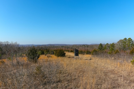 Hunting Land for Sale, Douglas County / Ozarks, MO Land - image 17