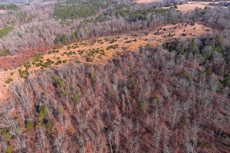 Hunting Land for Sale, Douglas County / Ozarks, MO Land - image 13