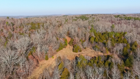 Hunting Land for Sale, Douglas County / Ozarks, MO Land - image 2