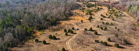 Hunting Land for Sale, Douglas County / Ozarks, MO Land - image 23