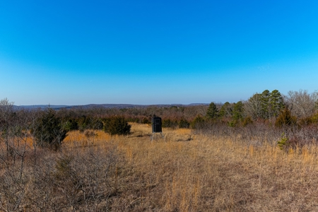 Hunting Land for Sale, Douglas County / Ozarks, MO Land - image 18