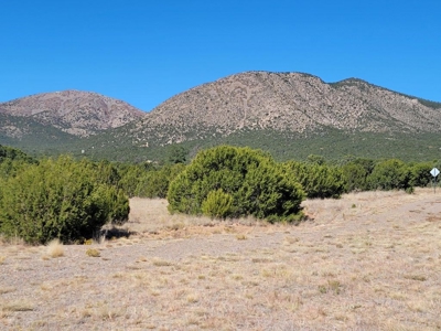Exquisite 3-Acre Home Site in Exclusive Gated Community - image 1