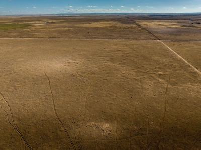 Exceptional 13.098 Acres of Serene Torrance County Grassland - image 20