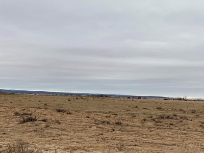 Tranquil 13.098 Acres in Torrance County - image 5