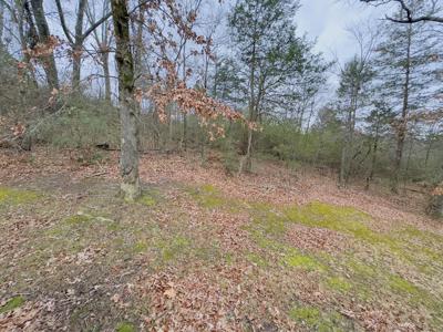 Home For Sale In Batesville, Arkansas - image 11