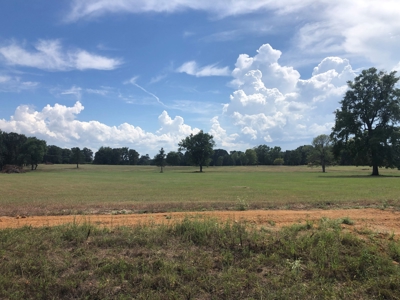 Land Lot For Sale In Atlanta Texas Build On Your Own Land! - image 4
