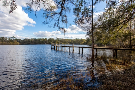 Lake Front Home On Pickett Lake Branford Florida For Sale !! - image 2