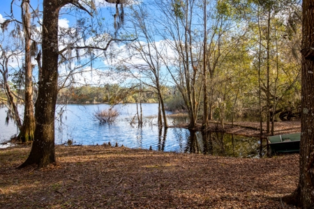 Lake Front Home On Pickett Lake Branford Florida For Sale !! - image 3