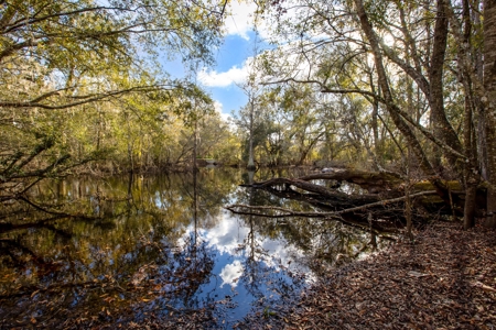 Lake Front Home On Pickett Lake Branford Florida For Sale !! - image 5