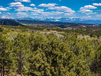 Custom Mountain Home For Sale in Western Colorado - image 7