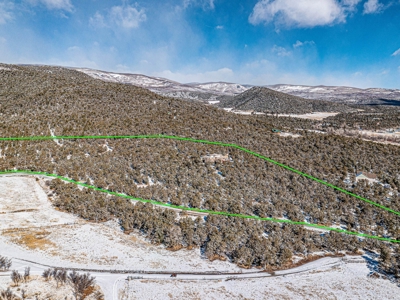 Custom Mountain Home For Sale in Western Colorado - image 4