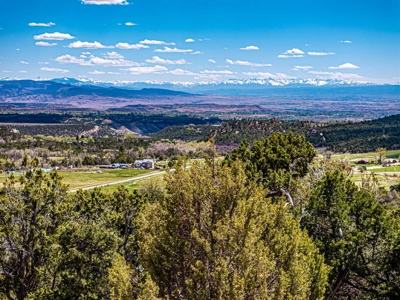 Custom Mountain Home For Sale in Western Colorado - image 6