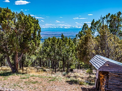 Custom Mountain Home For Sale in Western Colorado - image 14