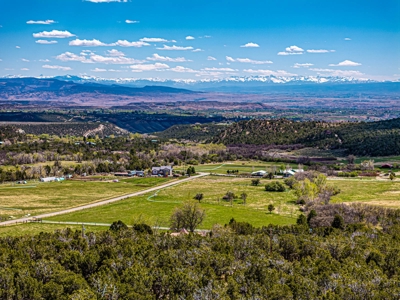 Custom Mountain Home For Sale in Western Colorado - image 5
