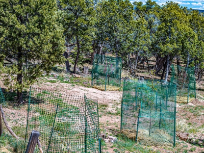 Custom Mountain Home For Sale in Western Colorado - image 11