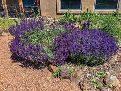 Custom Mountain Home For Sale in Western Colorado - image 17