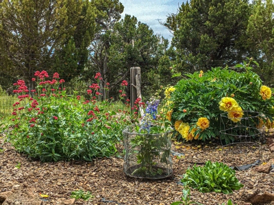Custom Mountain Home For Sale in Western Colorado - image 19