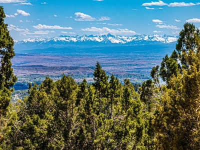 Custom Mountain Home For Sale in Western Colorado - image 12