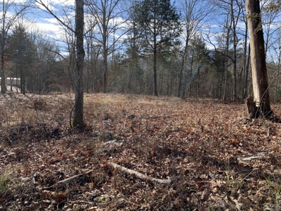 Campground for Sale in New Tazewell, TN - image 14