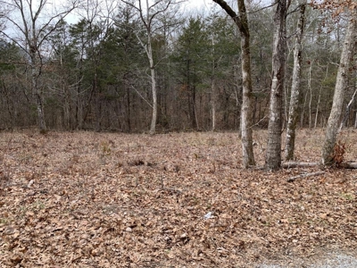 Campground for Sale in New Tazewell, TN - image 6